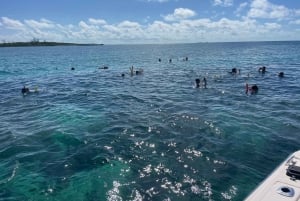 Nassau: Båt till 3 öar med simmande grisar, snorkling och sköldpadda