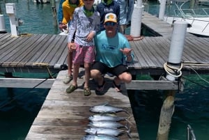 4 timers fiske eller snorkling 27ft Boston Whaler