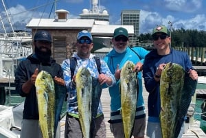 4 timers fiske eller snorkling 27ft Boston Whaler