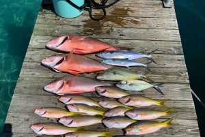 4 timers fiske eller snorkling 27ft Boston Whaler