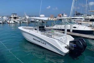 4 timers fiske eller snorkling 27ft Boston Whaler