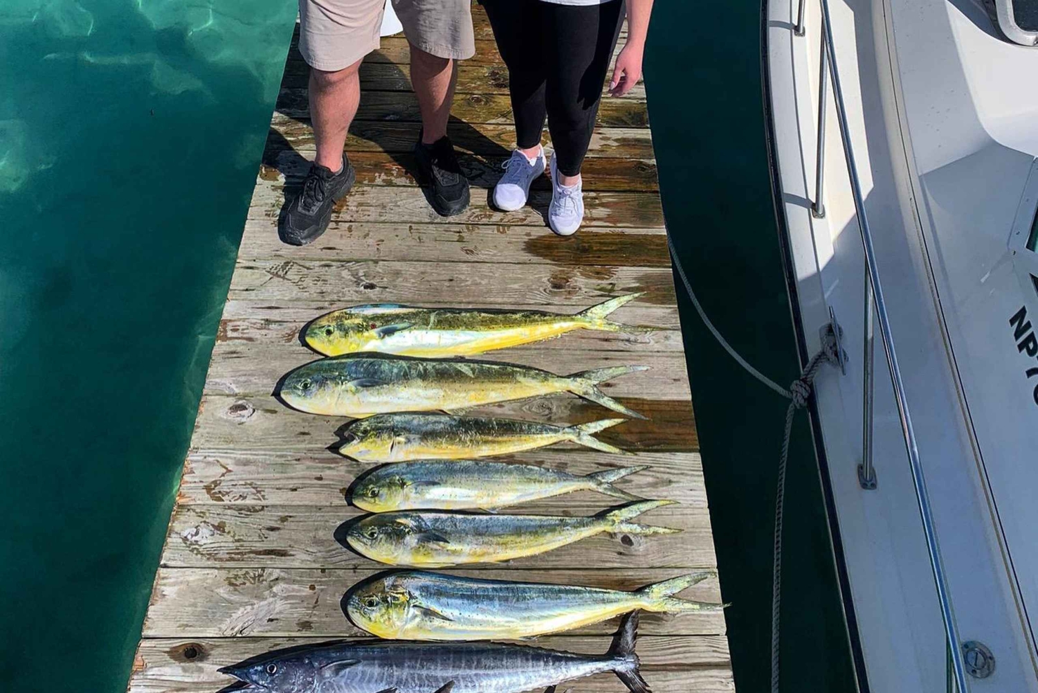 4 horas de pesca o snorkel Tiara de 38 pies