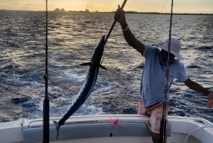 4 horas de pesca o snorkel Tiara de 38 pies