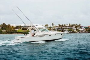 4 horas de pesca o snorkel Tiara de 38 pies