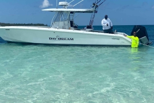 4 horas de pesca o snorkel Tiara de 38 pies