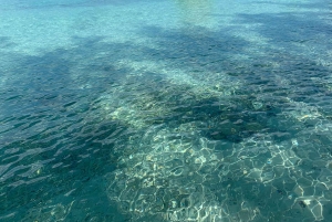 4 horas de pesca o snorkel Tiara de 38 pies