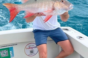 4 horas de pesca o snorkel Tiara de 38 pies