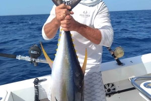 4 horas de pesca o snorkel Tiara de 38 pies