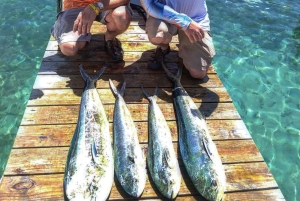 4 horas de pesca o snorkel Tiara de 38 pies