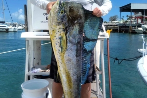 4 horas de pesca o snorkel Tiara de 38 pies