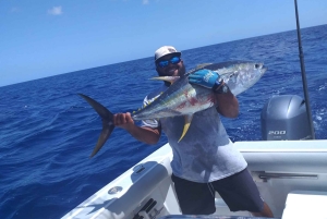 4 horas de pesca o snorkel Tiara de 38 pies