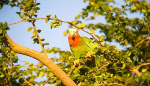 Abaco National Park