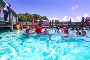 Da Nassau:Tour mozzafiato di promozione aria-marePer i maiali che nuotano