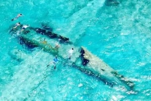 Nassausta:Air-Sea Promotion Hengästyttävä kiertomatkaSwimming Pigs (Uivat siat)