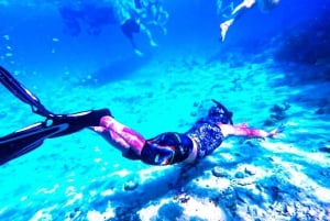 Vanuit Nassau:Lucht-Zee Promotie Adembenemende TourZwemmende Varkens