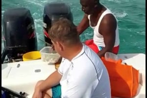 Au départ de Nassau:Promotion air-mer Circuit à couper le soufflePorcs nageurs