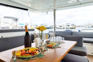 All inclusive day charter on the luxury catamaran AMURA