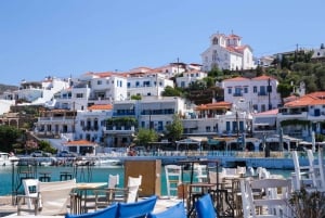 Andros Town Airport: Privat enveis overføring til Andros