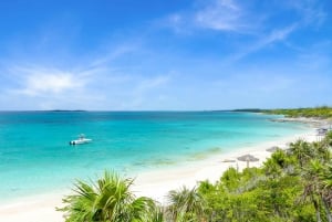 From Paradise Island: Bahamas Beach Excursion to Sandy Toes