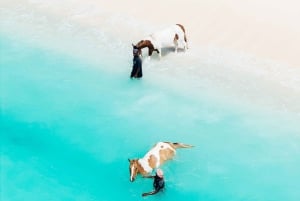 Bahamas: Horseback Riding Adventure on Beaches & Trails