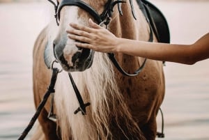 Bahamas: Horseback Riding Adventure on Beaches & Trails