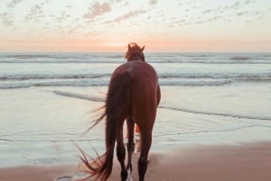 Bahamas: Horseback Riding Adventure on Beaches & Trails