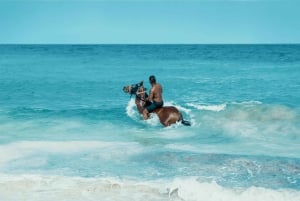 Bahamas: Horseback Riding Adventure on Beaches & Trails