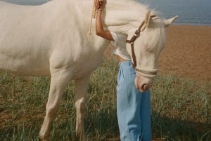 Bahamas: Horseback Riding Adventure on Beaches & Trails