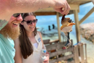Bimini: Guided Tour of North Bimini