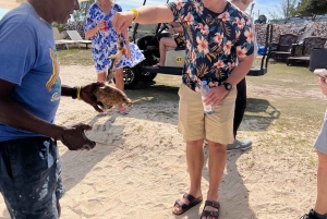 Bimini Island Food Taste Experience Tour