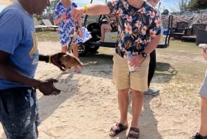 Wycieczka kulinarna po wyspie Bimini