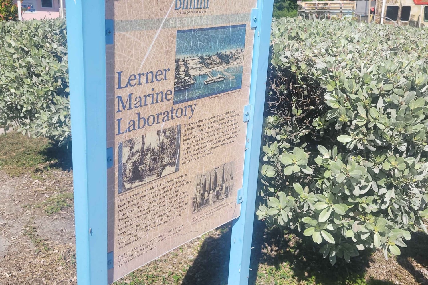 Bimini: Passeio pela ilha com almoço