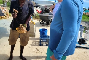 Bimini: Passeio pela ilha com almoço