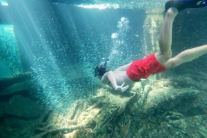 Bimini: Private Boat Tour with Photographer