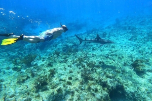 Bimini: Private Boat Tour with Photographer