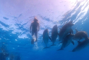 Bimini: Private Boat Tour with Photographer