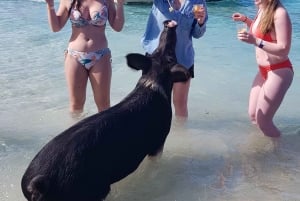 Center Console Privé Bootverhuur Bahama's