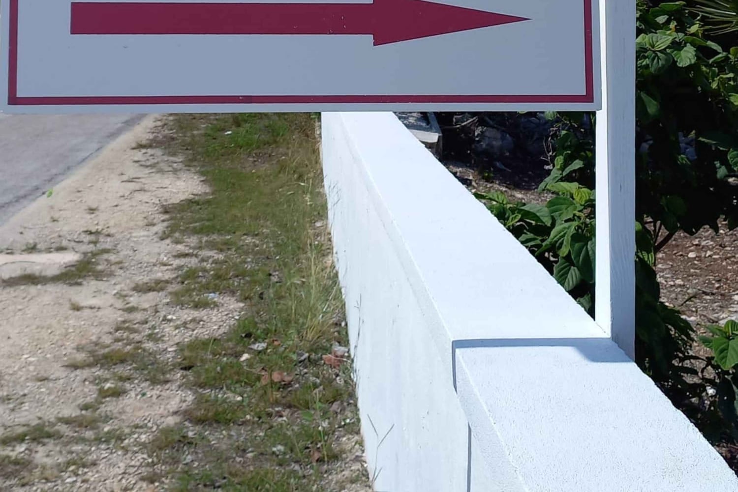 Central Long Island 3 Hour Guided Land Tour