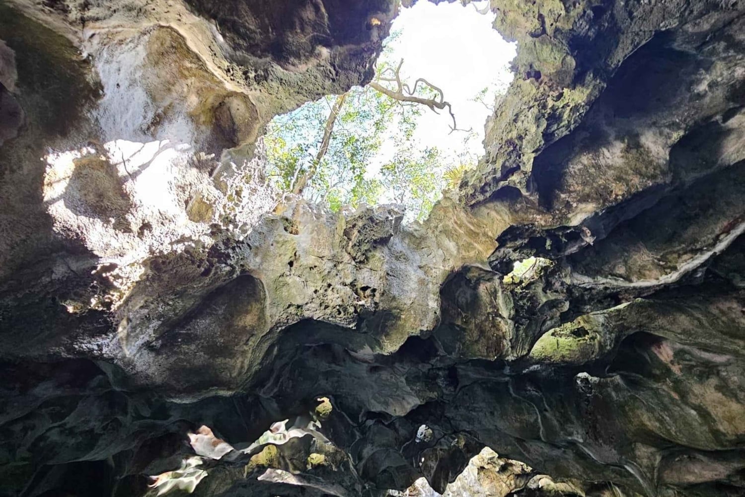 Central Long Island 3 Hour Guided Land Tour