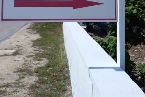 Central Long Island 3 Hour Guided Land Tour