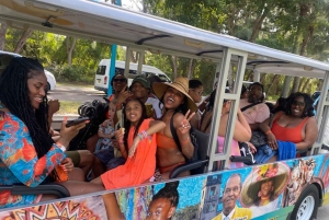 Chippies Bahamas Feel the culture Tour