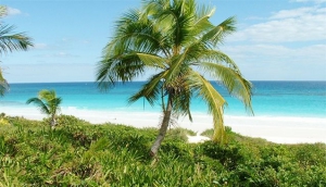Conception Island
