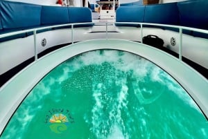 Cruise Ship Travellers Bahamas via Boat Semi-sub Glassbottom