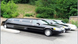 Dan Knowles Tours