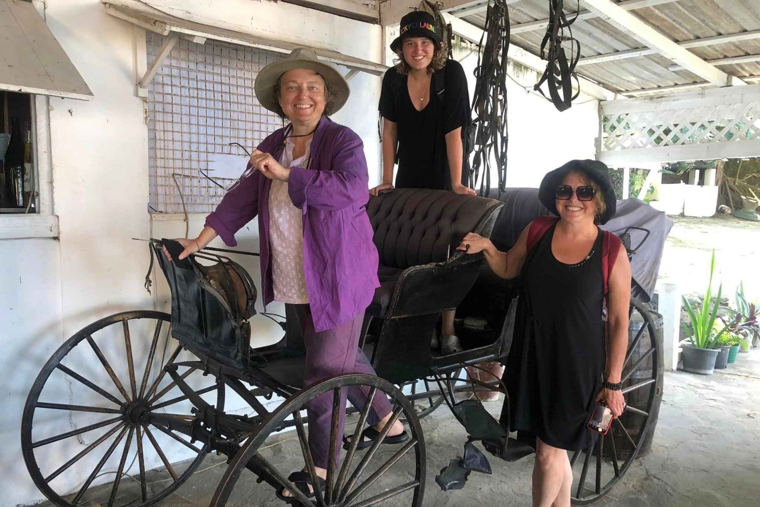 dark view falls Unique tour include 3 of our spectacle site