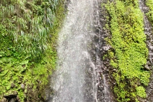 ダークビューフォールズのユニークなツアーには、3つの壮大なスポットが含まれています