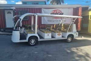Nassau, Bahamas: Elektrische Bustour, Kostproben lokaler Speisen und Getränke