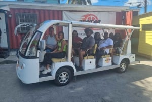 Nassau, Bahamas: Elektrische Bustour, Kostproben lokaler Speisen und Getränke