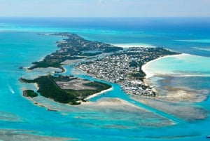 Eventyr på Eleuthera: Gynger, grise og rev