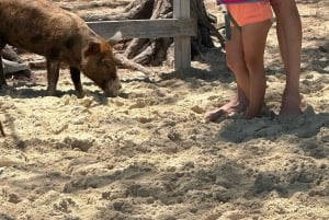 Avontuur in Eleuthera: Schommels, varkens en riffen